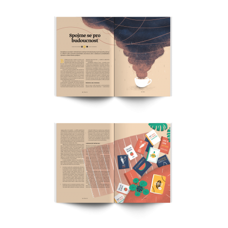 Revista Standard nr. 13