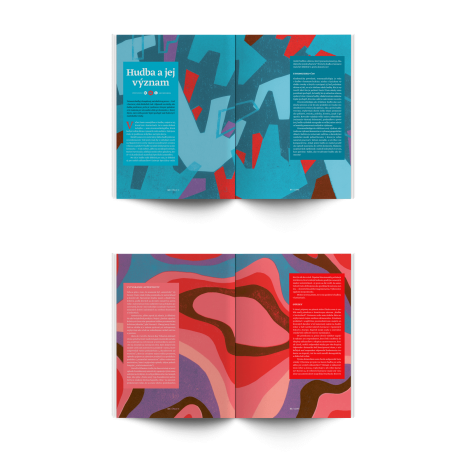 Revista Standard nr. 13