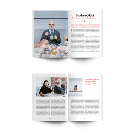 Revista Standard nr. 13