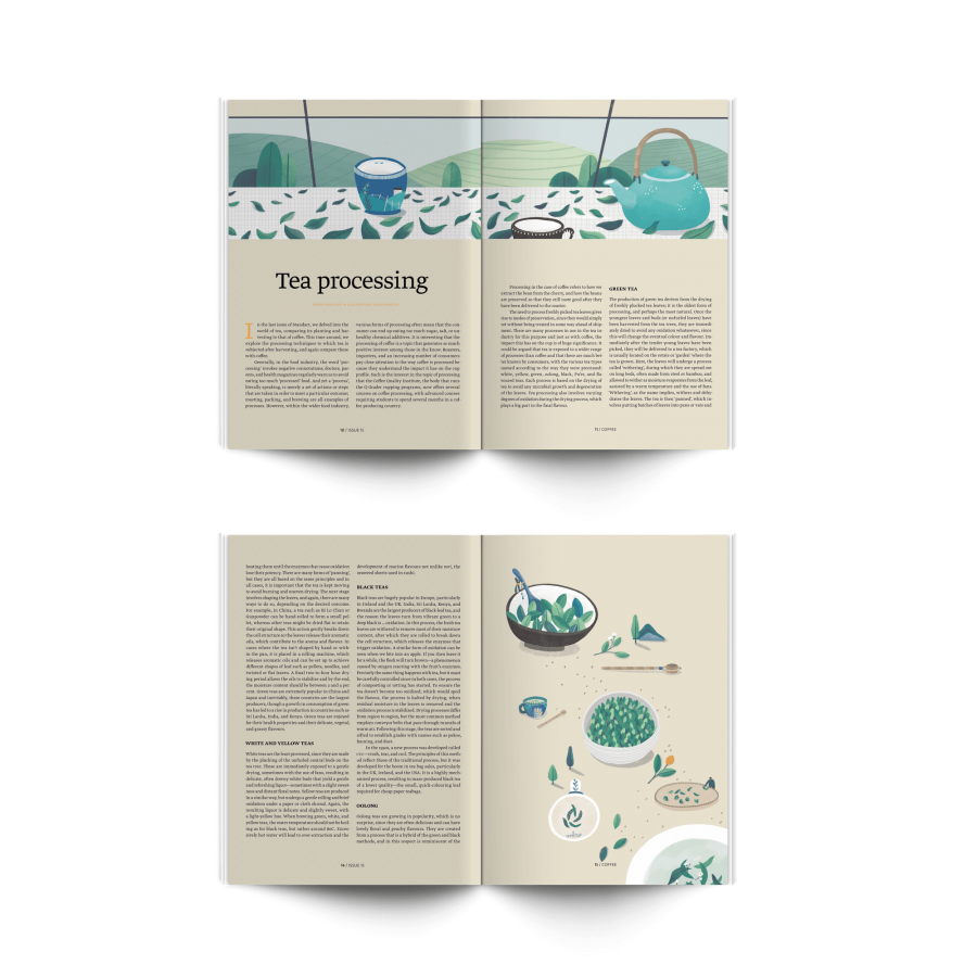 Revista standard nr. 15