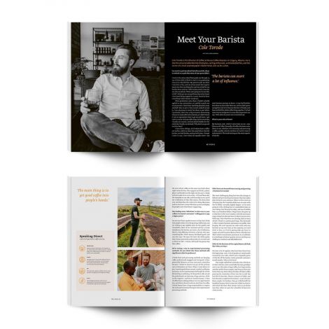 Revista standard nr. 16