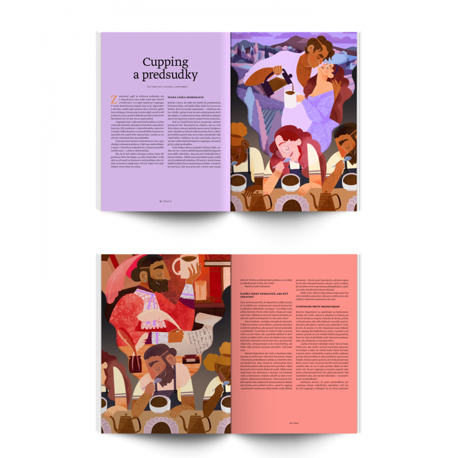 Revista standard nr. 17