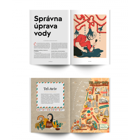 Revista standard nr. 17