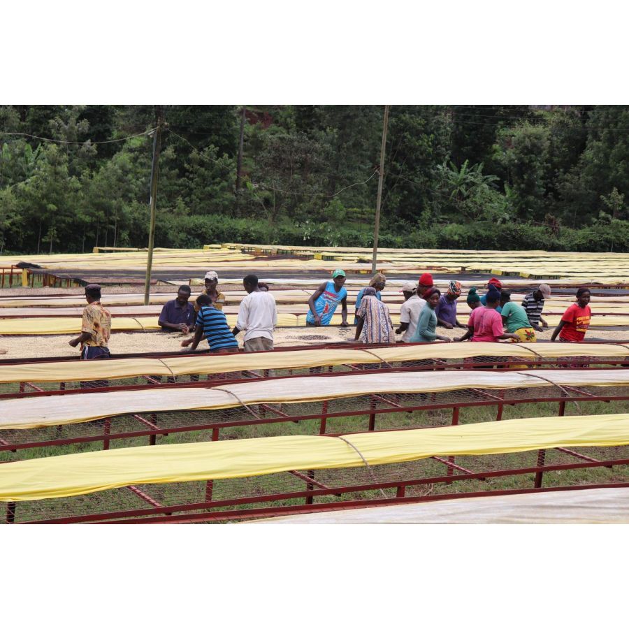 Nordbeans Kenya Mutitu PB 200g