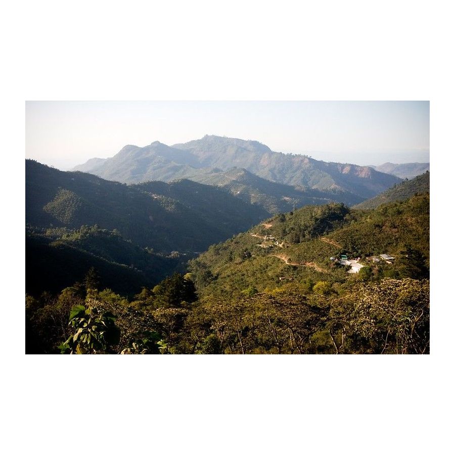 Guatemala Trés Maria, cafea boabe arabica