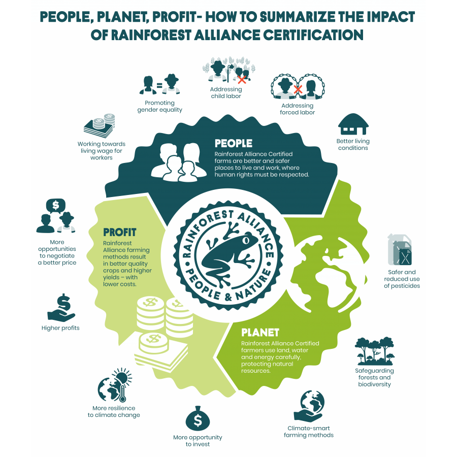 Brazilia Fazenda Rainforest, cafea boabe arabica