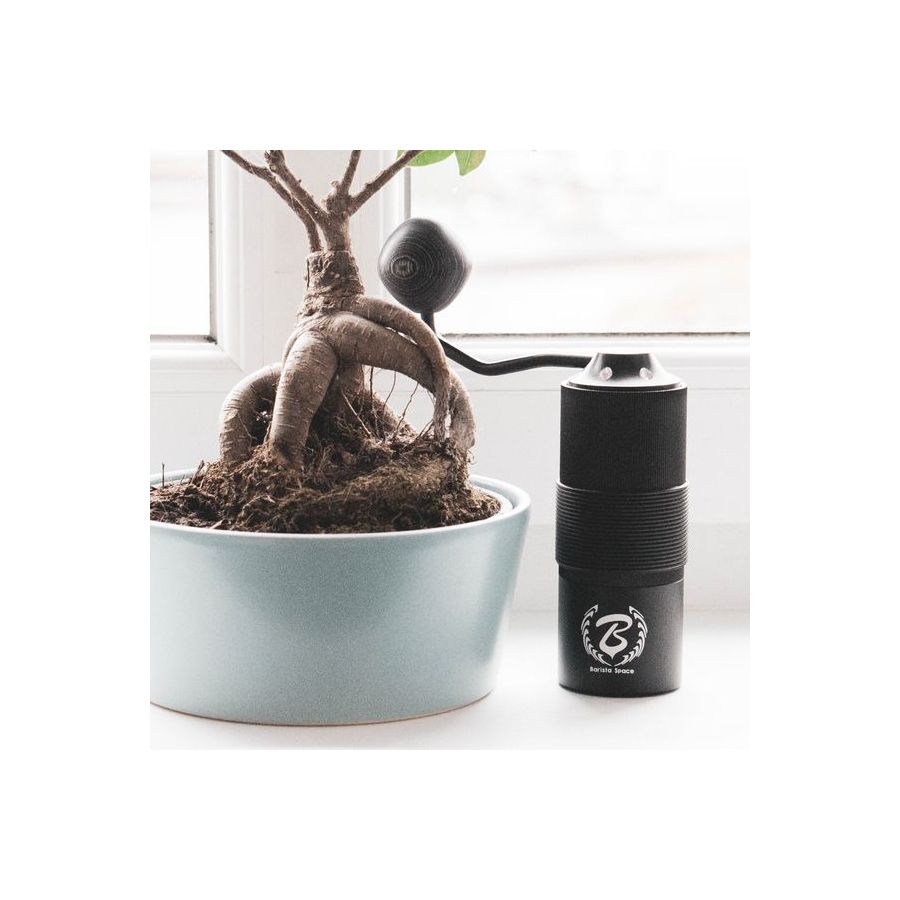 Râșniță Barista Space