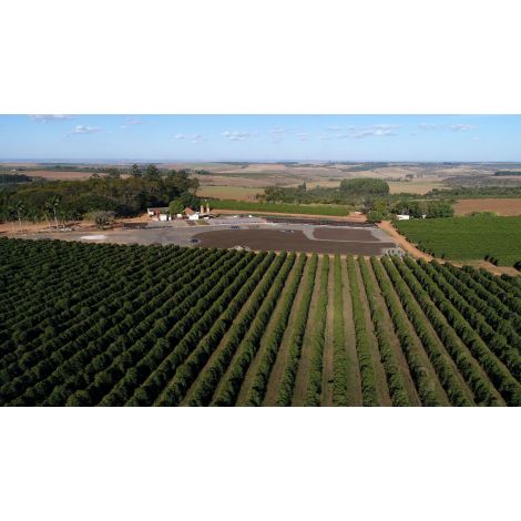 Nordbeans Horizont Espresso 250g