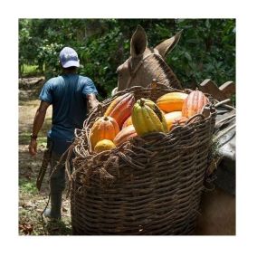 Ciocolată Michel Cluizel Arcango Grand Noir 85% 2