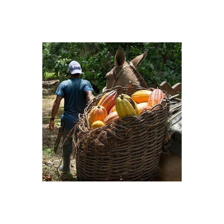 Bomboană de ciocolată Michel Cluizel "8 Cappuccino"