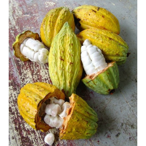 Bomboană de ciocolată Michel Cluizel "8 Cappuccino"