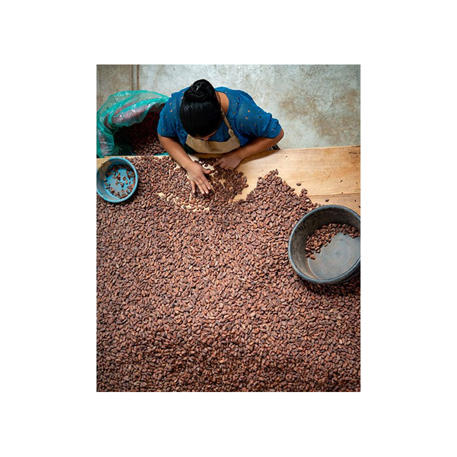 Bomboană de ciocolată Michel Cluizel "8 Cappuccino"