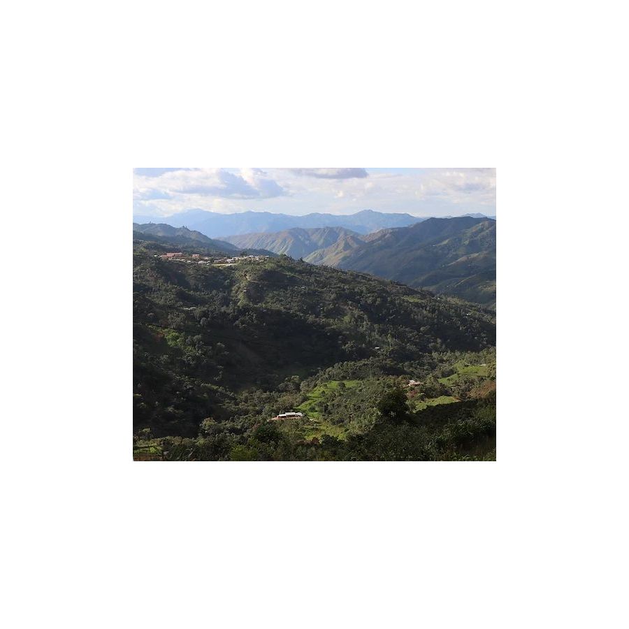The Miners Peru Jacinto Jara 250g