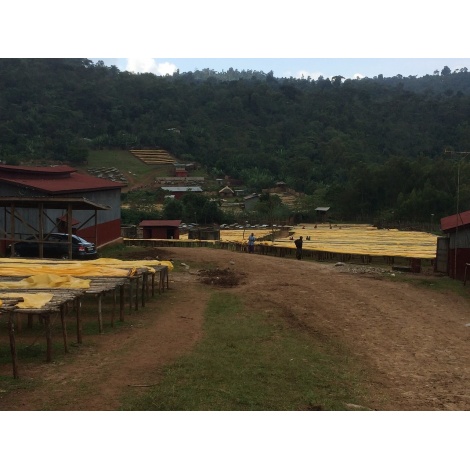 GourmetCoffee Specialty - Etiopia Chelbesa Natural 250g