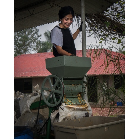 GourmetCoffee Specialty - Mexic SV Kitos 250g