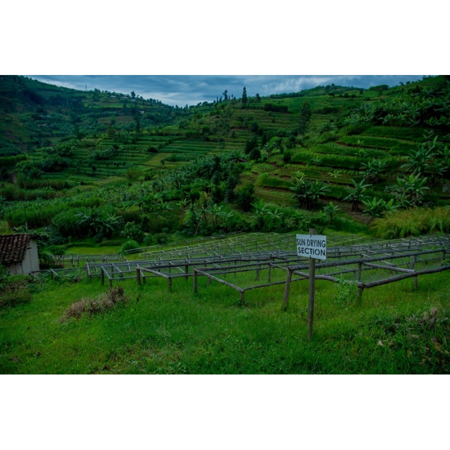 GourmetCoffee Specialty - Rwanda Ngororero 250g