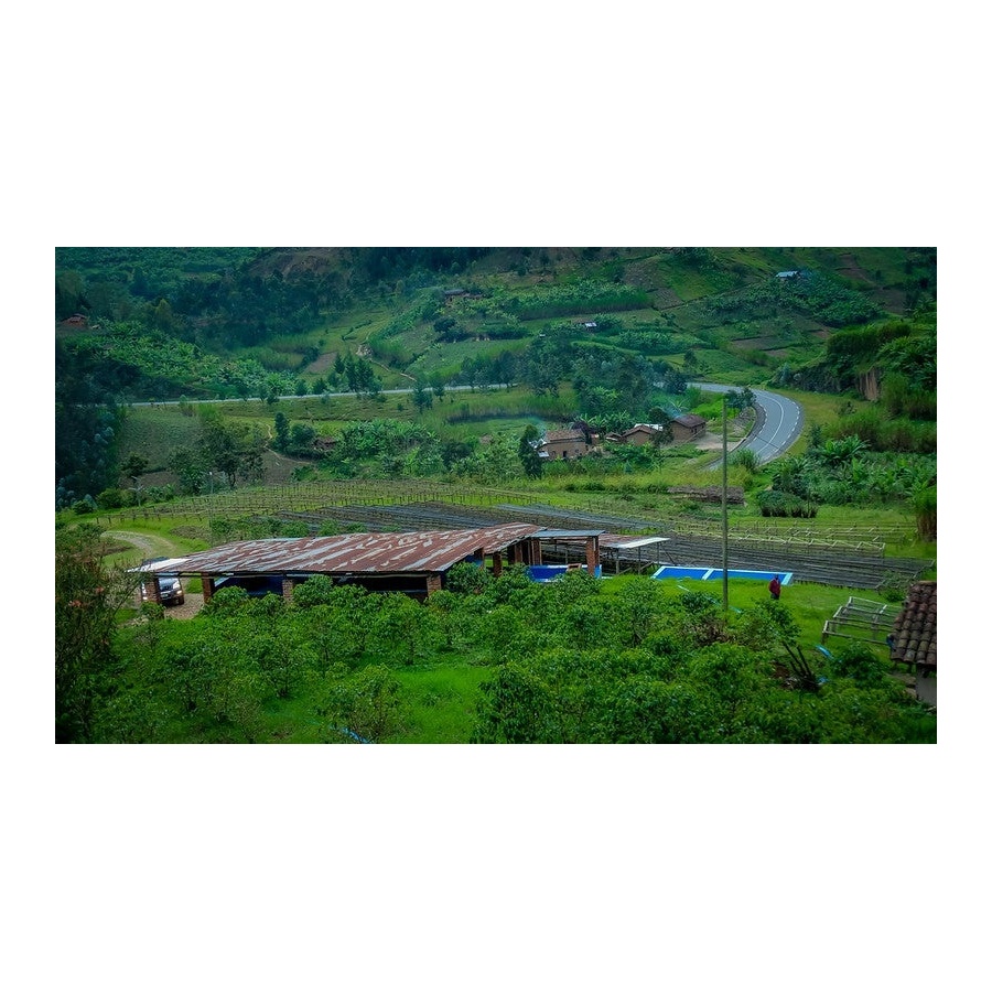 GourmetCoffee Specialty - Rwanda Ngororero 250g