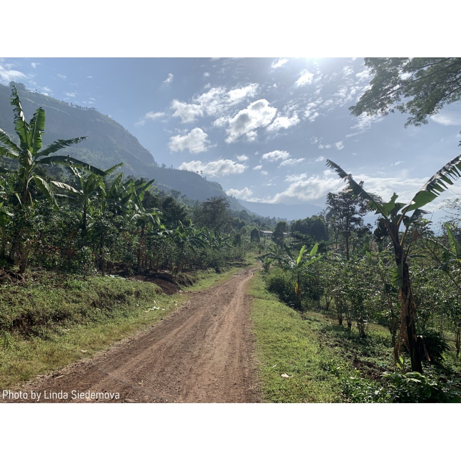 GourmetCoffee Specialitate de cafea Uganda Buwobodeya 250g