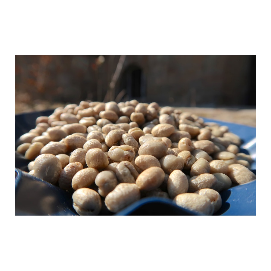 GourmetCoffee Specialitate Kenya Wamuguma PB 250g