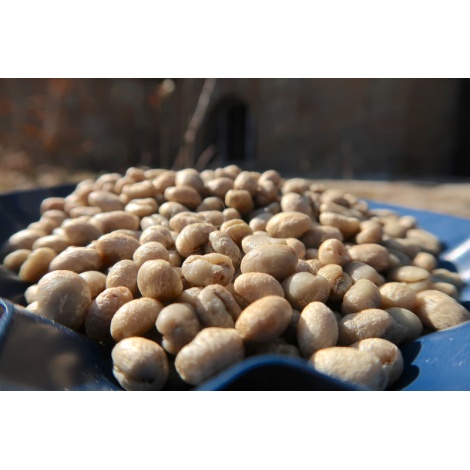 GourmetCoffee Specialitate Kenya Wamuguma PB 250g