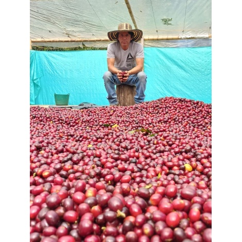 GourmetCoffee Specialitate Colombia El Agrado Miere 250g