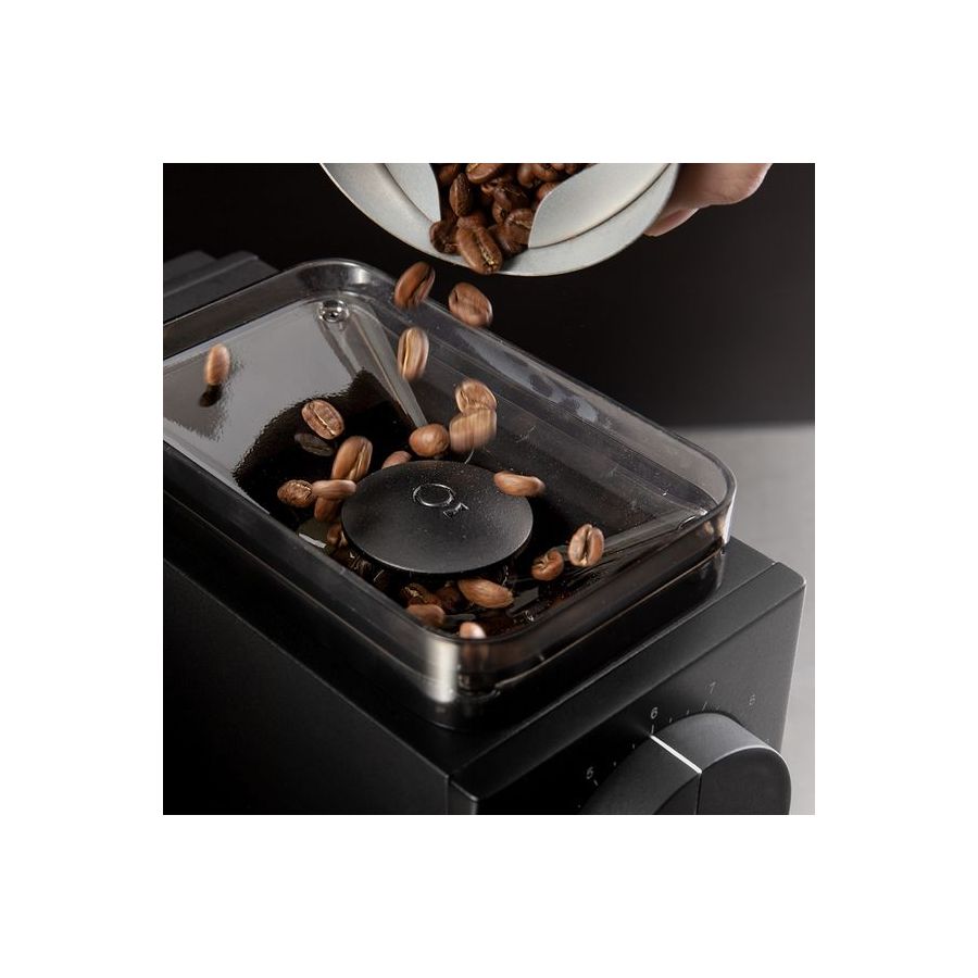 Polizor electric Fellow ODE - DISCOUNT