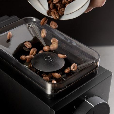 Polizor electric Fellow ODE - DISCOUNT