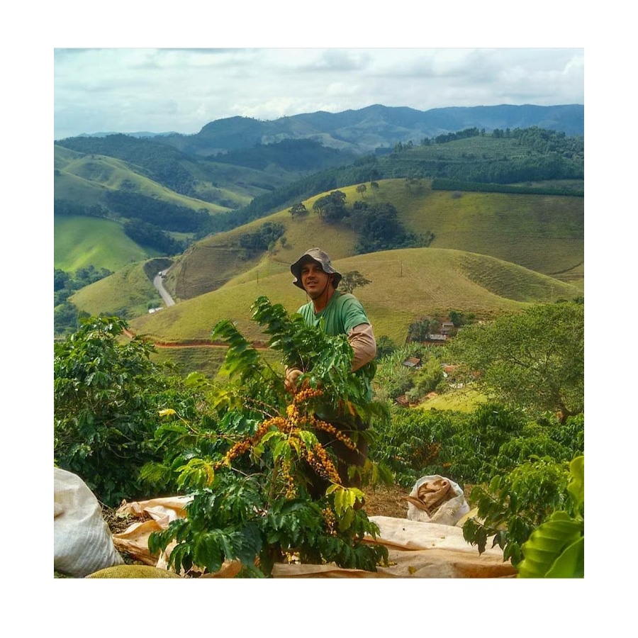 GourmetCoffee Specialty - Brasil Honorio 250g