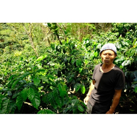 GourmetCoffee Specialty - Indonezia Aulila Kahfi 250g