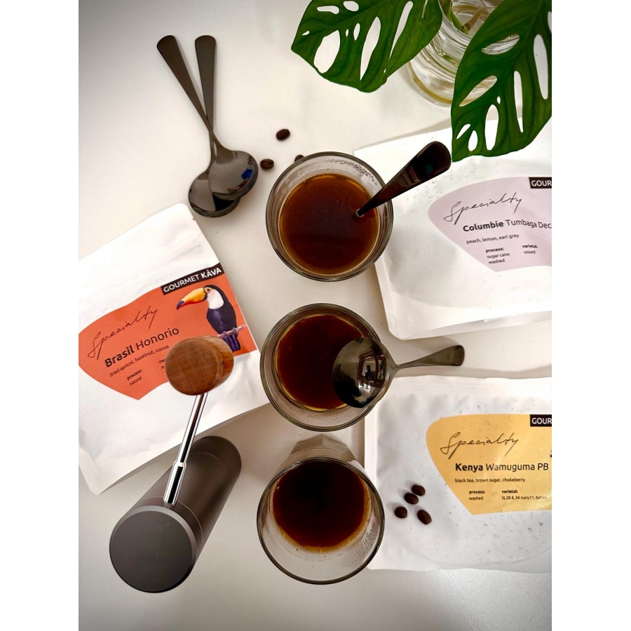 Cupping  în Vinohrady - Praga