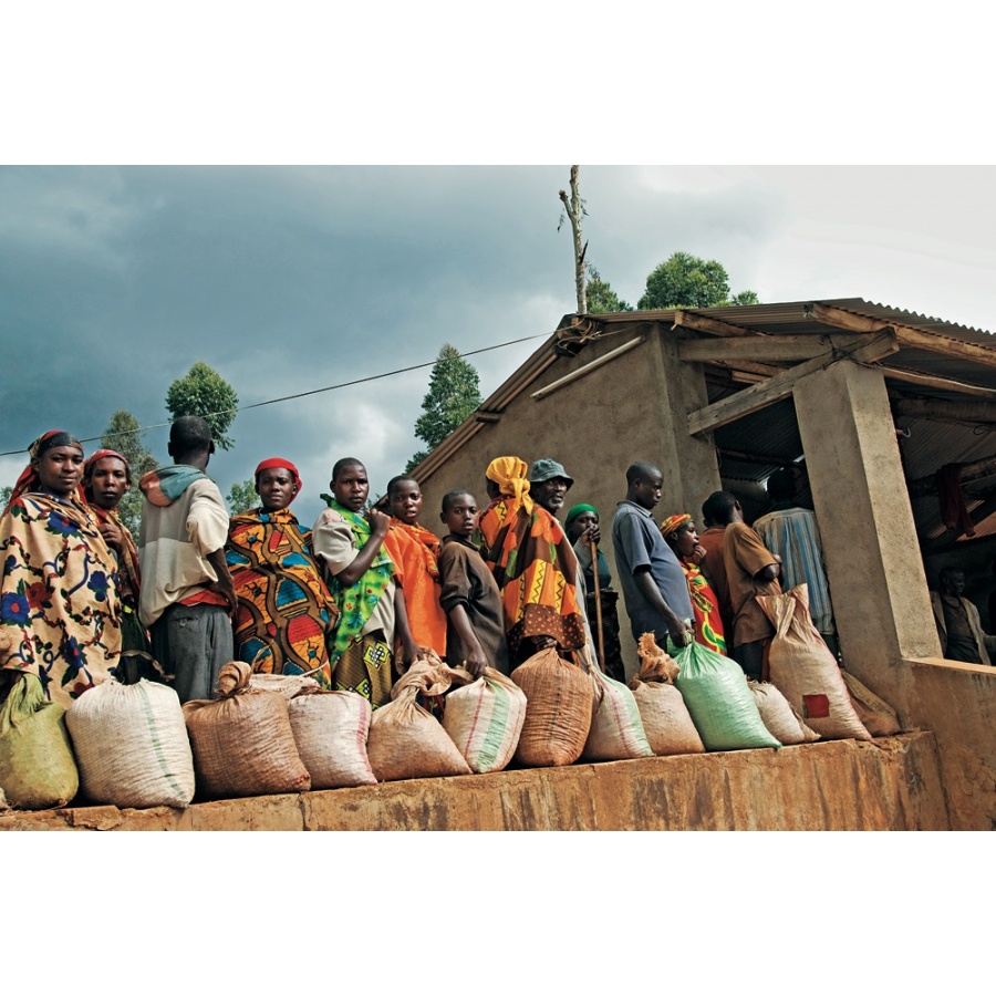 Carte: Atlasul mondial al cafelei - James Hoffmann - Ediția a 2-a (EN)