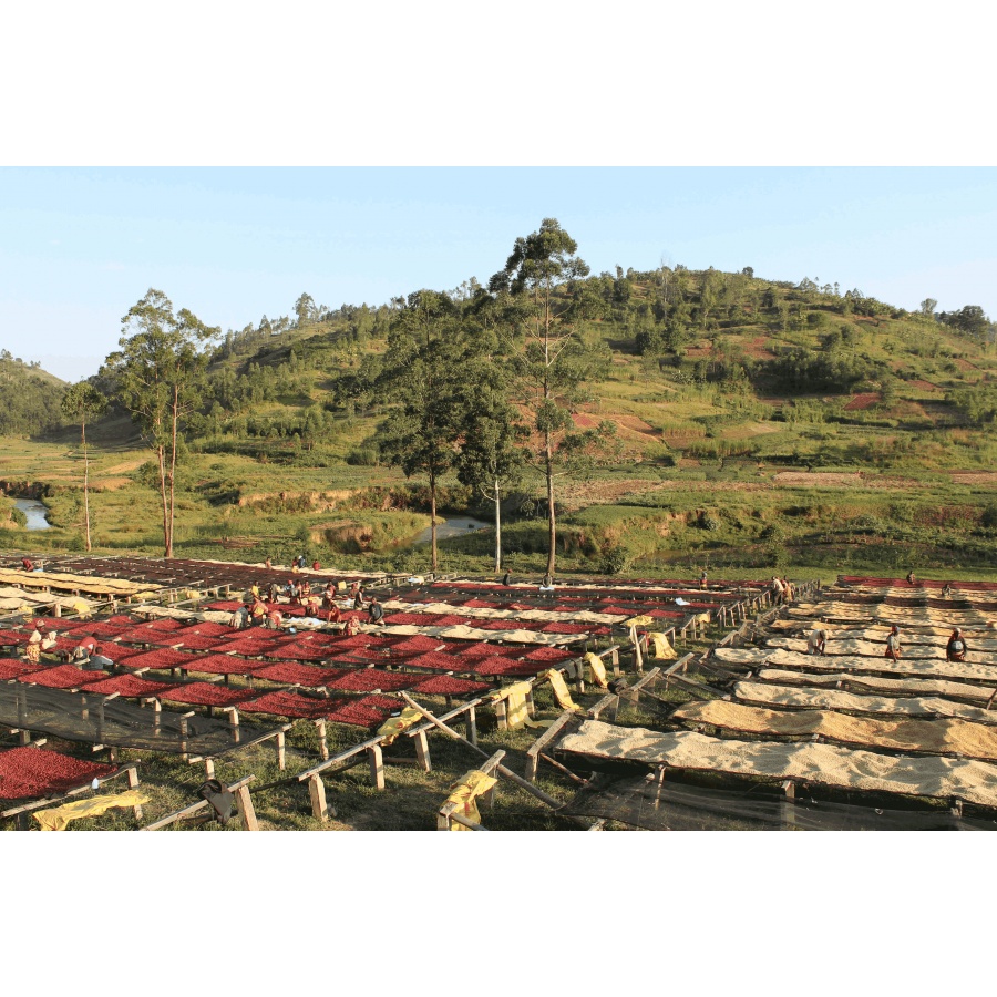 GourmetCoffee Specialitate Burundi Gakenke 250g