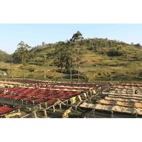 GourmetCoffee Specialitate Burundi Gakenke 250g