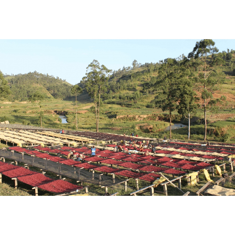 GourmetCoffee Specialitate Burundi Gakenke 250g