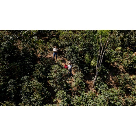 GourmetCoffee Specialitate Guatemala Comal 250g