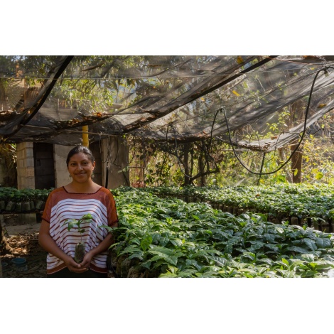 GourmetCoffee Specialitate Guatemala Huehuetenango ESP 250g