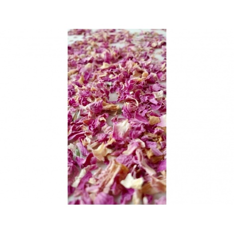 Ciocolată Ciocolată mixtă, Tanzania Căpșuni, nucă de cocos, trandafir 58,5%