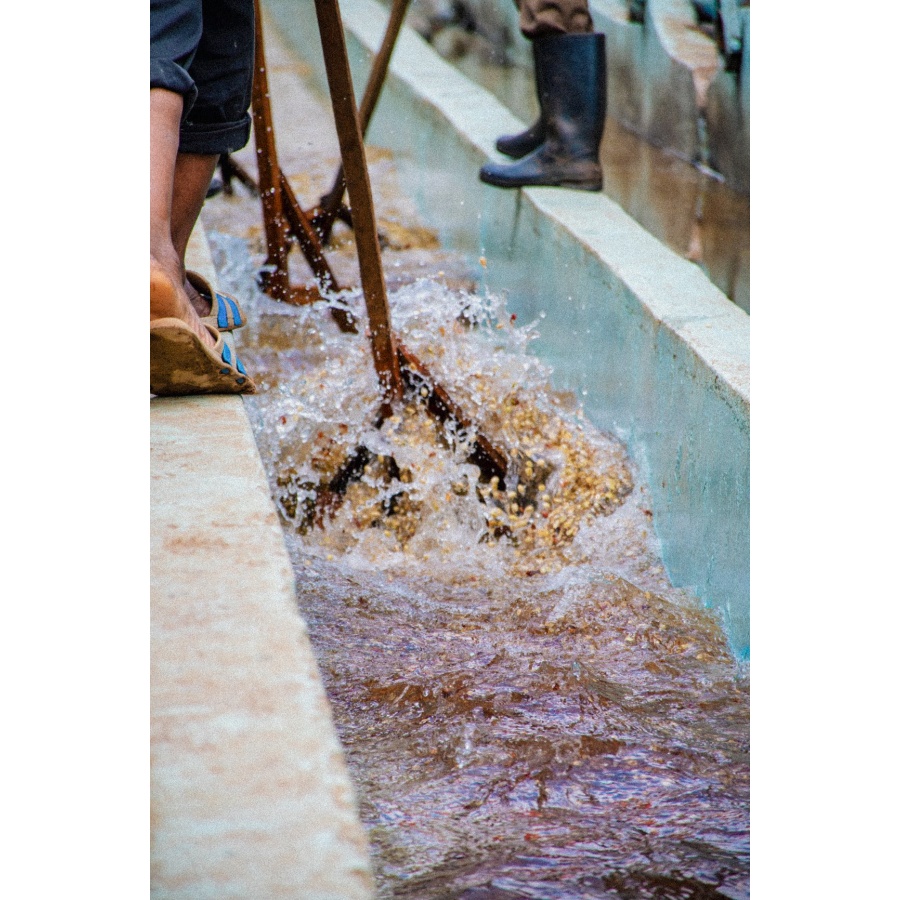 GourmetCoffee Specialitate Kenya Baragwi - Guama AA 250g