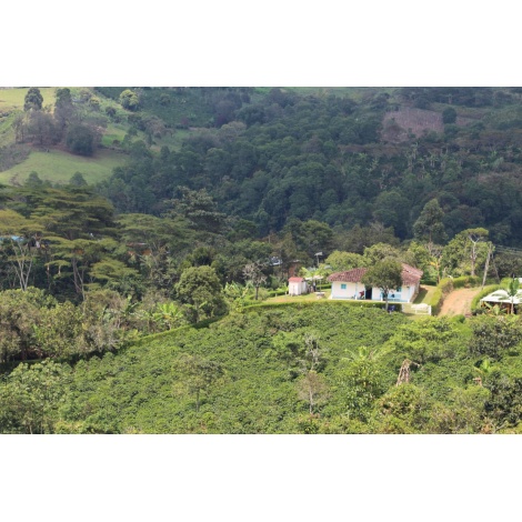 GourmetCoffee Specialitate Columbia EL SILENCIO 250g