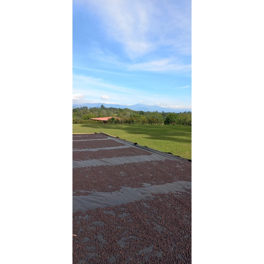 GourmetCoffee Specialitate Columbia EL SILENCIO 250g