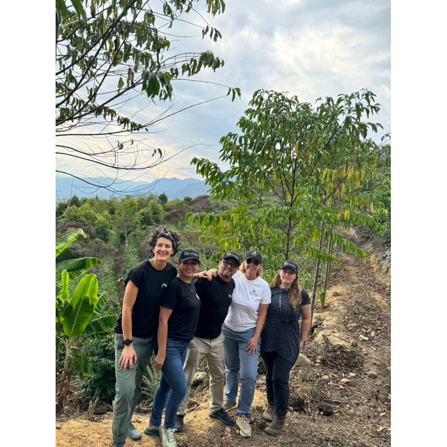 GourmetCoffee Specialitate Peru Monterverde 250g