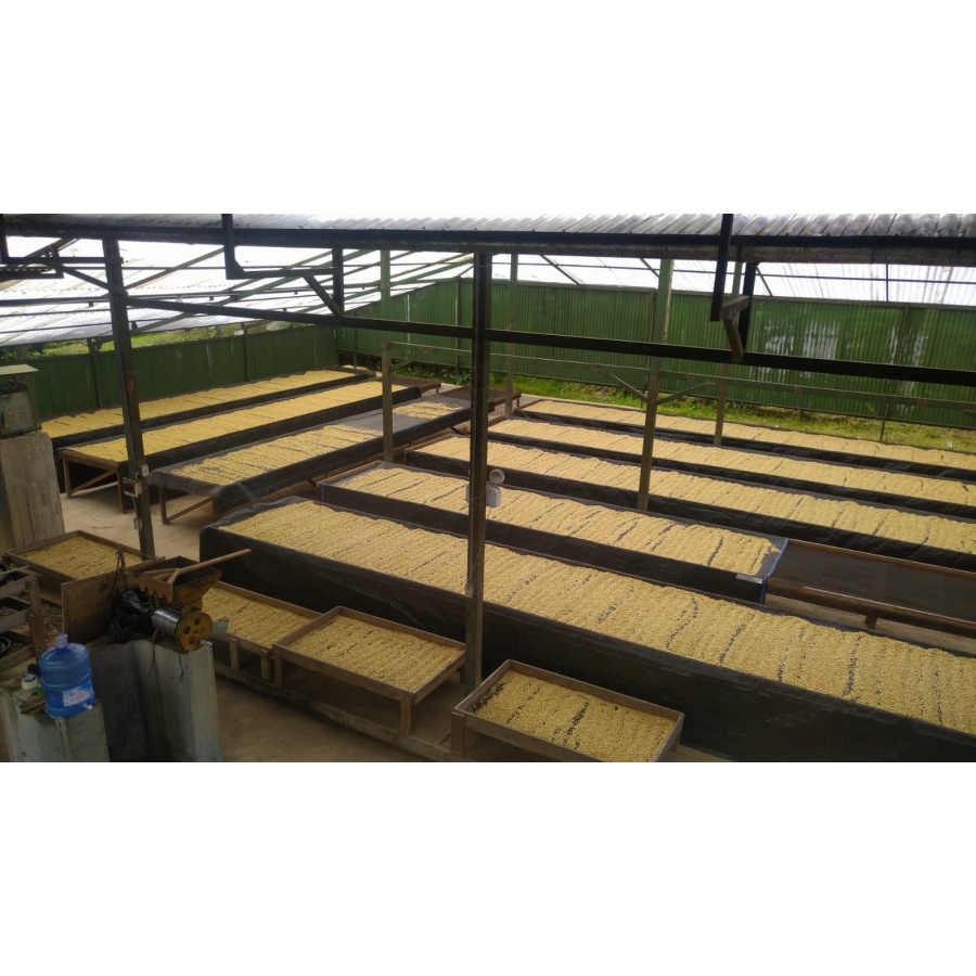 GourmetCoffee Specialitate Peru Monterverde 250g