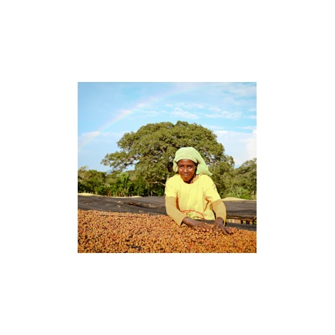 GourmetCoffee Specialitate Etiopia Uraga 250g