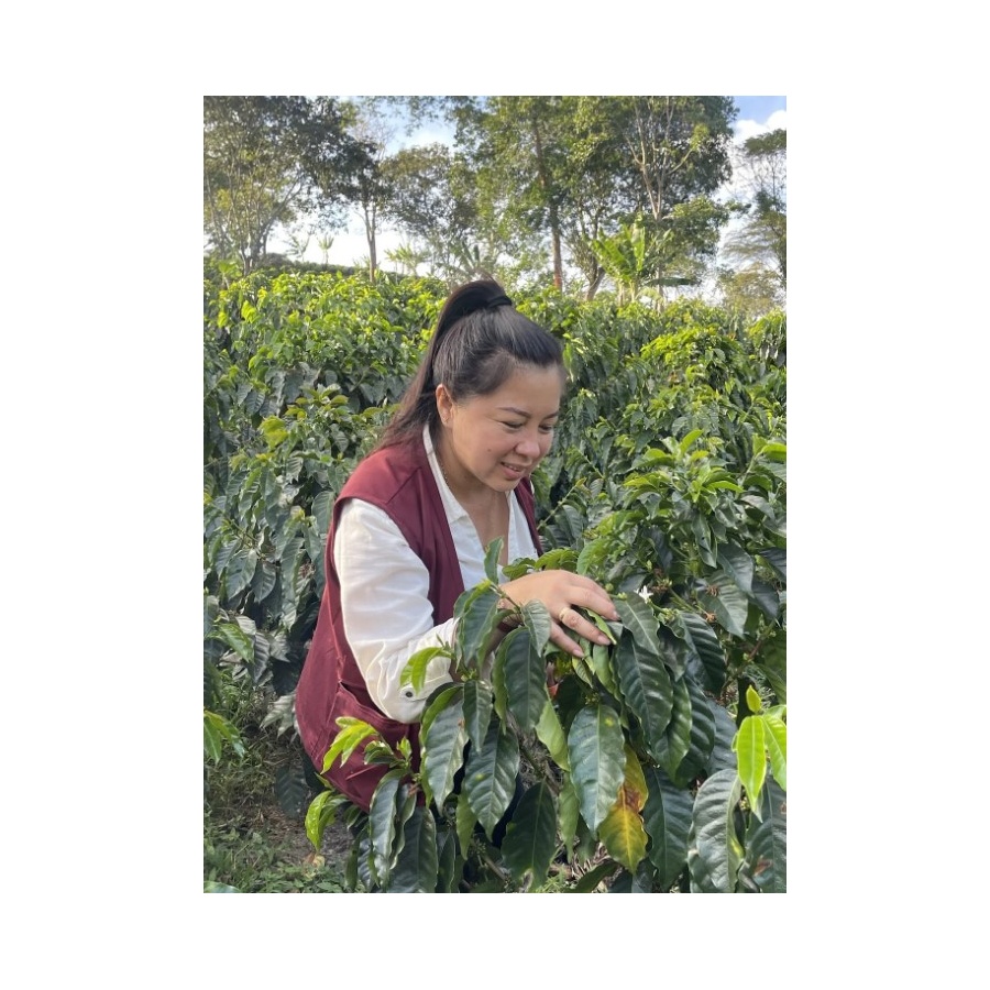 GourketCoffee Specialitate Columbia D. Sambony 250g