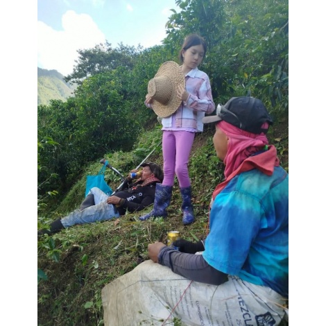 GourketCoffee Specialitate Columbia D. Sambony 250g