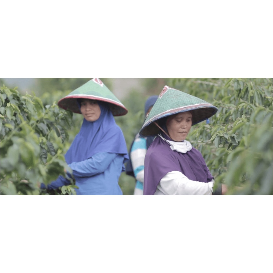 Beansmiths Indonezia Koerintji Barokah AN-H 250g