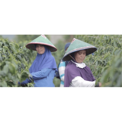 Beansmiths Indonezia Koerintji Barokah AN-H 250g