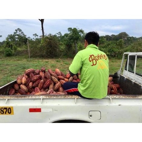 Ciocolată Bonnat 100%