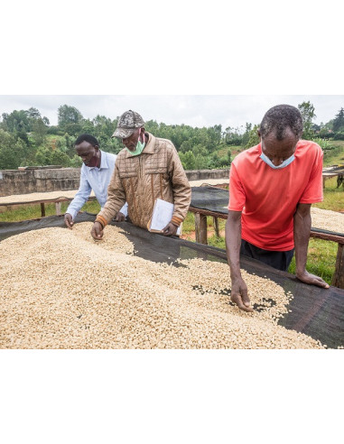 GourmetCoffee Specialitate - Kenya Nyeri 250g