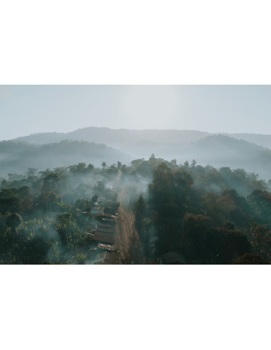 Beansmiths Etiopia Chelichele 250g